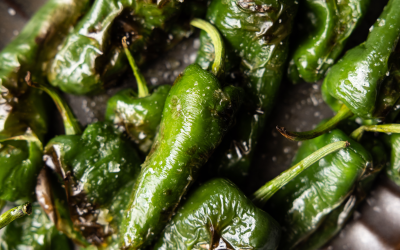 Padron pepers van de barbecue